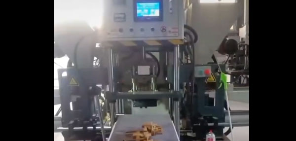 雙頭自動(dòng)射芯機(jī)